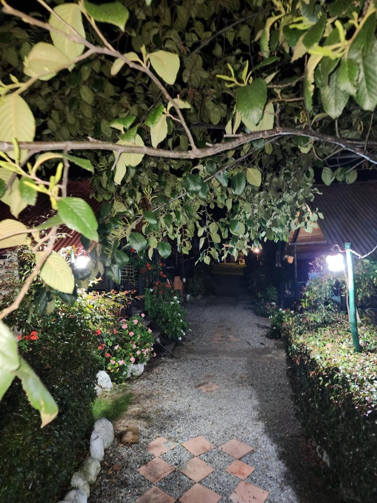 Hospedaje Las Cabanas モングイ エクステリア 写真