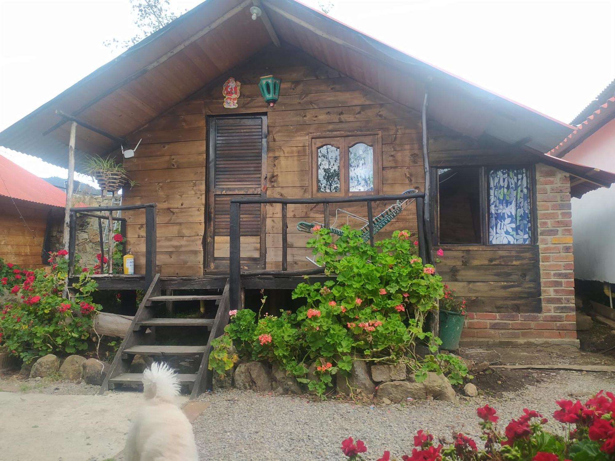 Hospedaje Las Cabanas モングイ 部屋 写真